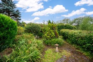 Rear garden- click for photo gallery